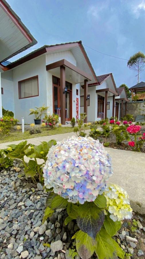 Villa Madinna Dieng Diyeng エクステリア 写真